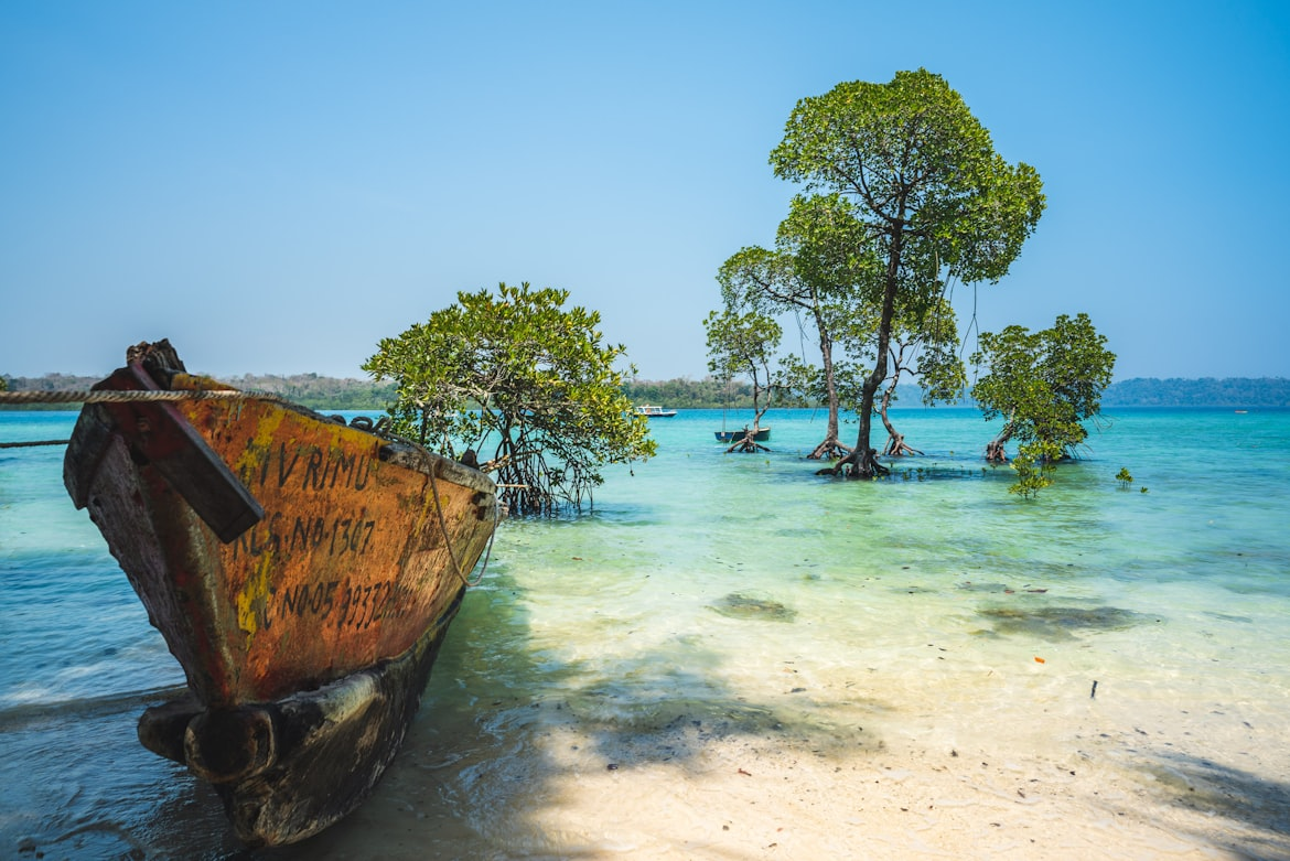 Andaman Islands Tropical Retreat