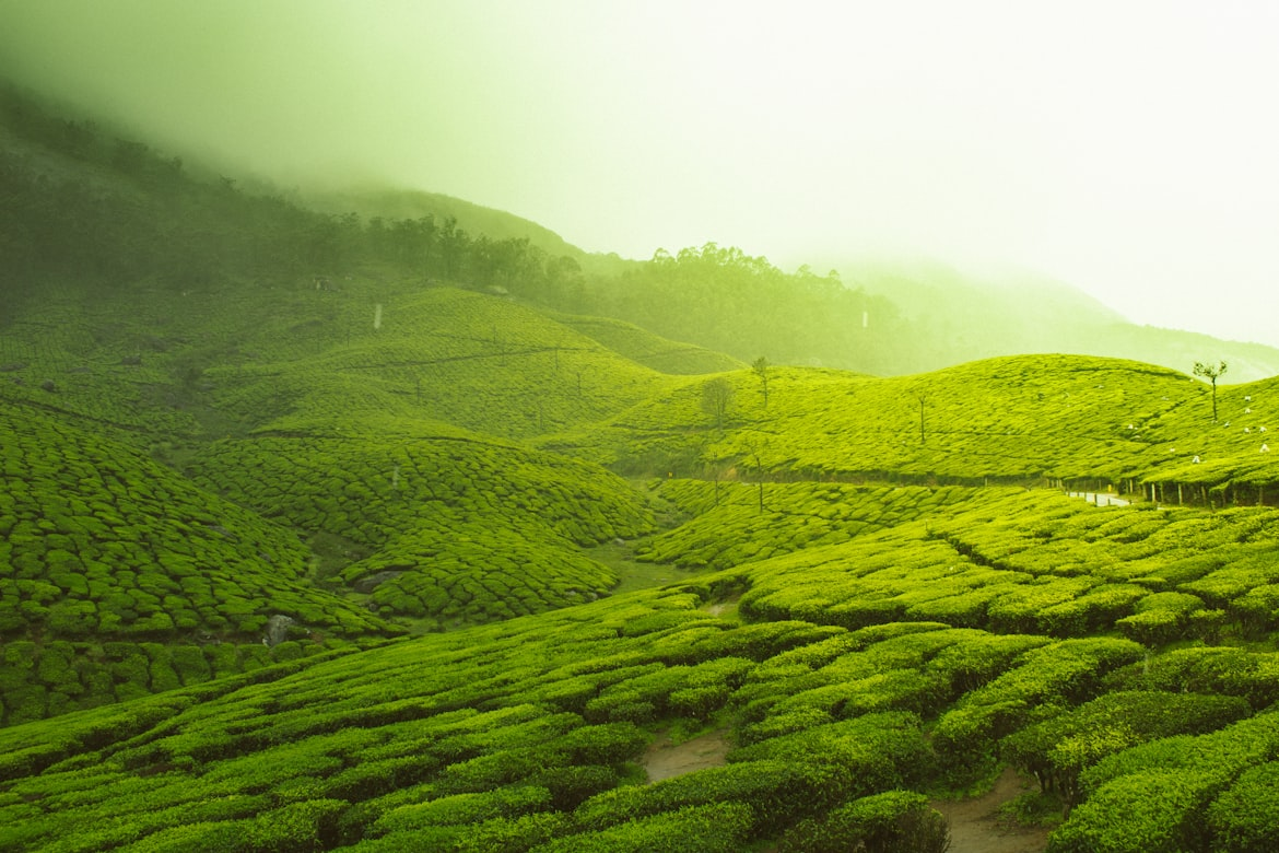 Ooty & Coonoor Nilgiri Mountain Escape