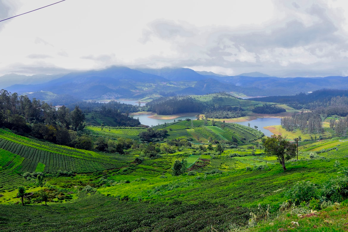 Ooty & Coonoor Nilgiri Mountain Escape