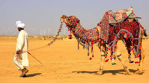 Pushkar & Ajmer Desert Carnival
