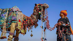 Pushkar & Ajmer Desert Carnival