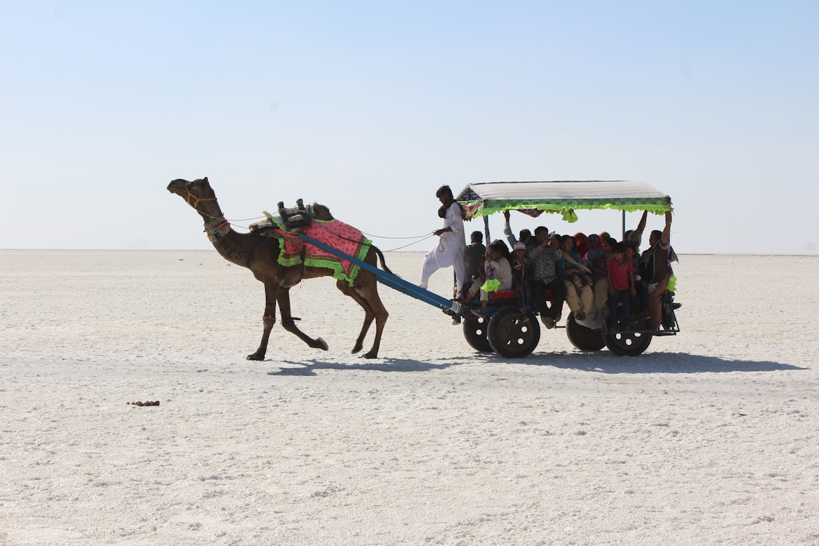 Rann of Kutch Salt Desert Adventure