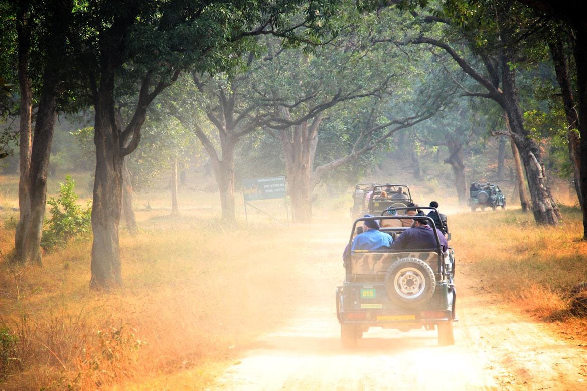 Ranthambore Royal Tiger Safari