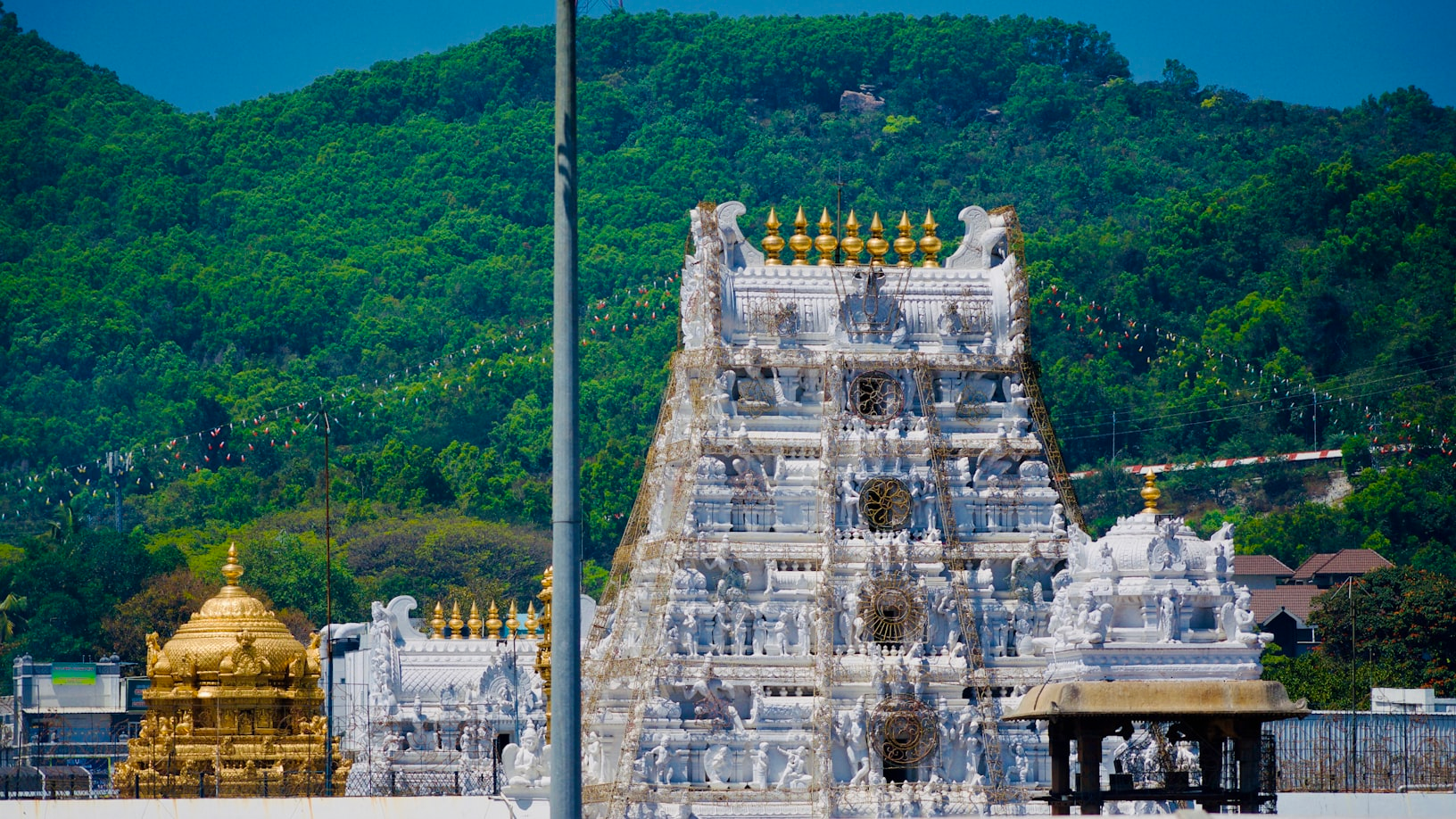 Tirupati Darshan Package